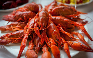Lobsters food table bowloffruit sharpclaws - a plate free wallpaper