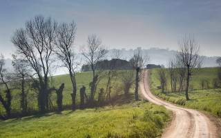 Dirt road green field forest 2 - landscape free wallpaper