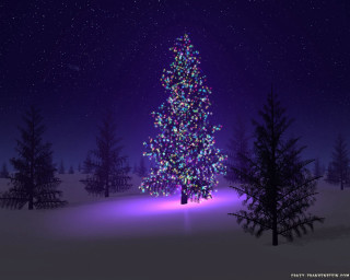 Christmas tree snow night purple - volumetric free wallpaper