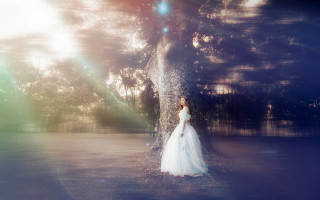 Woman white dress tree light - a light shining free wallpaper