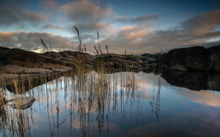 Pond reeds sky rocks cityscape - a sky free wallpaper