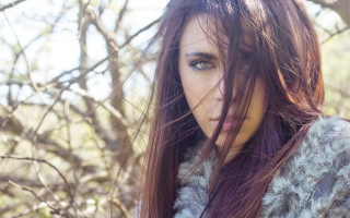 Woman long hair tree blossoms - a tree free wallpaper for desktop