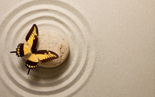 Blue butterfly on rock liminal 2 - liminal space free wallpaper