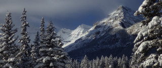 Snowy mountain forest clouds bushes - dramatic light free wallpaper