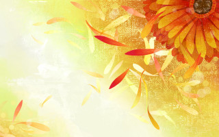 Yellow orange flower leaves autumn - amy sol free wallpaper