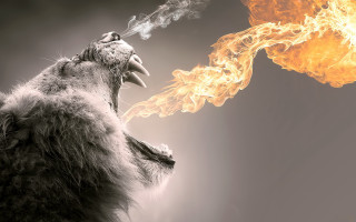 Lion roaring fire giant flame - a stick free wallpaper for desktop