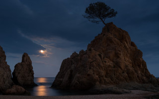 Full moon ocean rocks tree - arthur b. carles free wallpaper