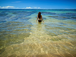 Woman bikini wading ocean water - her back free wallpaper