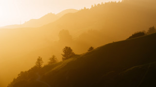 Mountain road trees dusk sunset - a view of a mountain free wallpaper