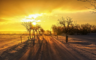 Road fence trees sunset mountain - a fence and trees free wallpaper
