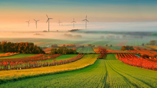 Field windmills fog background air - the air above free wallpaper for desktop