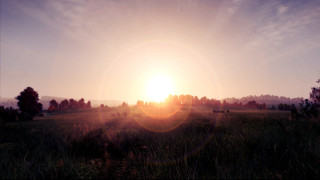 Sunset lake forest trees field - realistic lighting free wallpaper