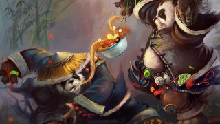 Panda pirate witch fantasy art - a panda bear free wallpaper for desktop