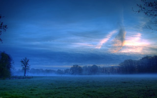 Foggy dusk landscape with trees - mist free wallpaper