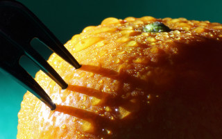 Orange fork macro photorealistic autumn - photorealistic imagery free wallpaper