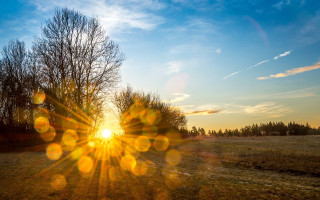 Field trees sun clouds blue - a bright sun in the background free wallpaper