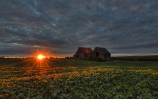 Sunset house field sunflowers clouds - the sun setting behind free wallpaper