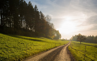 Dirtroad lushfield forest sunset city - the sun shining free wallpaper