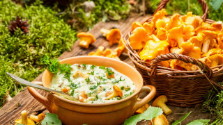 Woodland food fire dip chips - a spoon free wallpaper