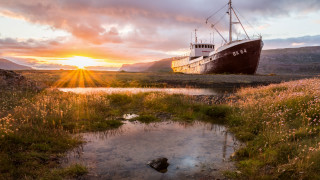 Boat water flowers grass sunset - the sun setting free wallpaper