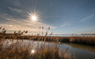 Sunshine marshy landscape cityscape lake - the foreground and a body of water free wallpaper