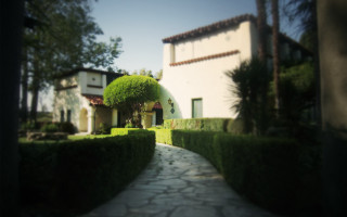 House hedge path tiltshift nature - a stone path free wallpaper