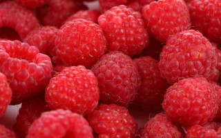 Raspberries berry closeup food flower - ripe free wallpaper