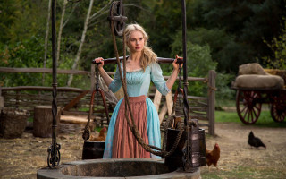 Woman dress bird chicken rococo - a bird free wallpaper