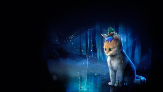 Cat hat fish forest light - the dark forest free wallpaper