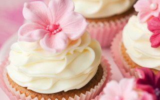 Cupcake white frosting pink flowers 4 - white frosting free wallpaper