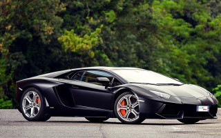 Black sports car forest road - a forest in the background free wallpaper