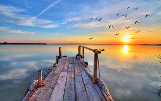 Dusk dawn lake dock birds - over the water free wallpaper
