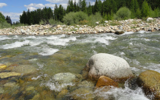 River rocks water trees sky - river free wallpaper for desktop