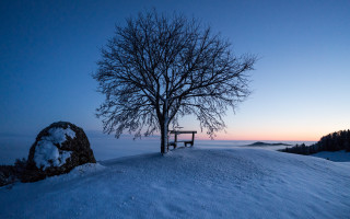 Snowy hill bench tree dusk - a snowy hill free wallpaper