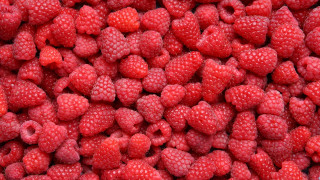 Raspberries red background macro berries - raspberry free wallpaper