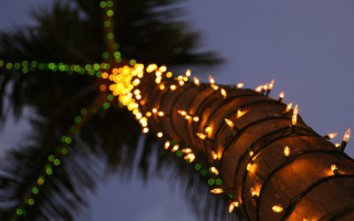 Palm tree lights clouds christmas - a bunch of lights free wallpaper