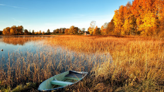 Small boat marshy autumn trees - arvid nyholm free wallpaper