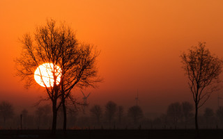 Sunset trees field fence bamboo - sunrise free wallpaper