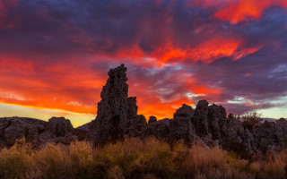 Sunset red sky rocks plants - a few bush free wallpaper