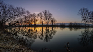 Lake reflections autumn bamboo forest - tree and a sunset in the background free wallpaper
