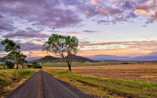Dirt road tree field mountains - a field in the background free wallpaper