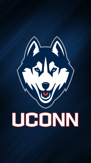 Husky dog uconn face blue - husky free wallpaper for mobile