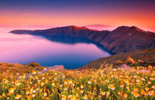 Sunset lake mountains flowers pink 2 - the foreground and mountains free wallpaper