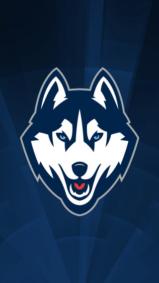 Husky logo blue background red - profile picture free wallpaper for mobile