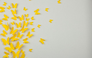 Yellow butterflies magic realism storybook - technique free wallpaper for desktop