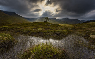 Small tree cloudy sky mountains - a small tree free wallpaper