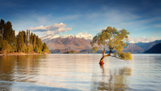 Lake tree mountains clouds sky - the middle of a lake free wallpaper for desktop