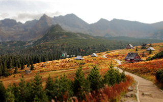 Mountain cabin forest tiltshift nature - tilt shift free wallpaper