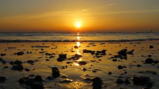 Sunset ocean beach rocks boat - a sunset over the ocean free wallpaper for desktop