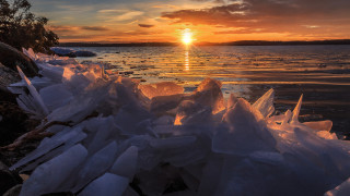 Sunset water ice trees clouds - ice free wallpaper